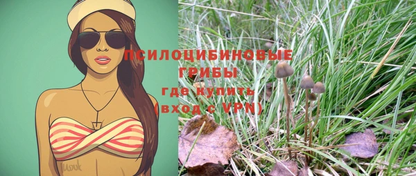 дмт Богданович