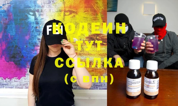 стаф Туринск