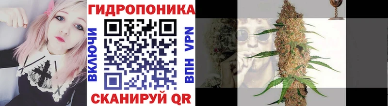 Бошки марихуана THC 21%  Шумиха 